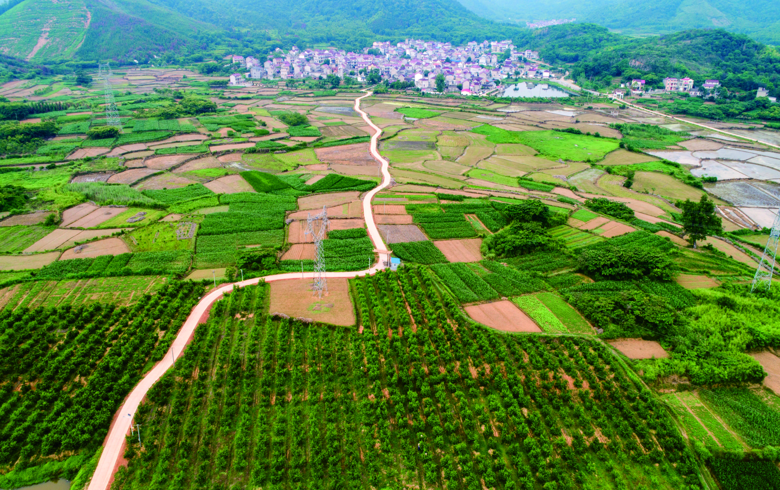东至县张溪镇葛仙铺村黄桃基地全景图.jpg