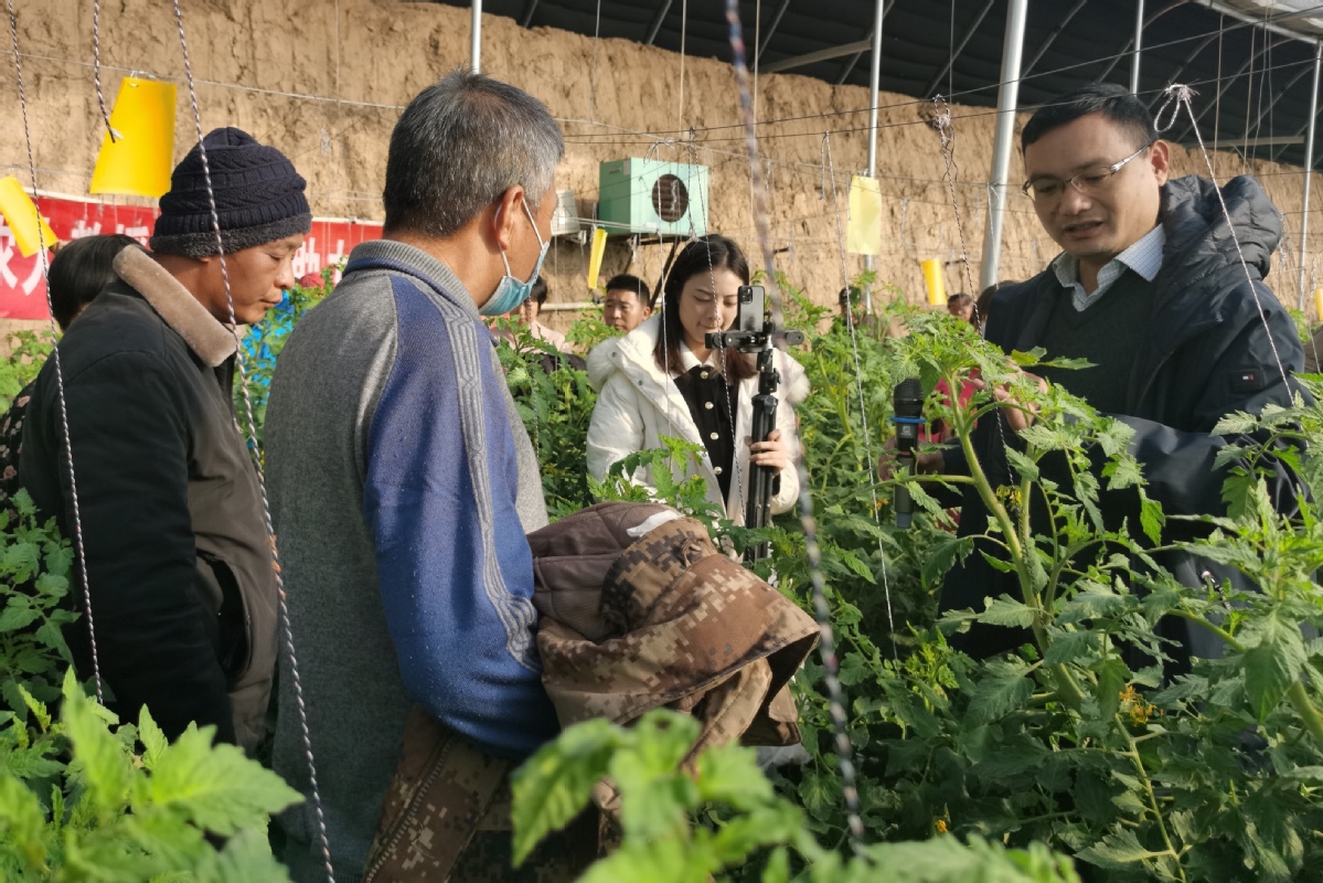 麒麟店村蔬菜大棚成了“农技课堂”。刘柯旋 摄.jpg