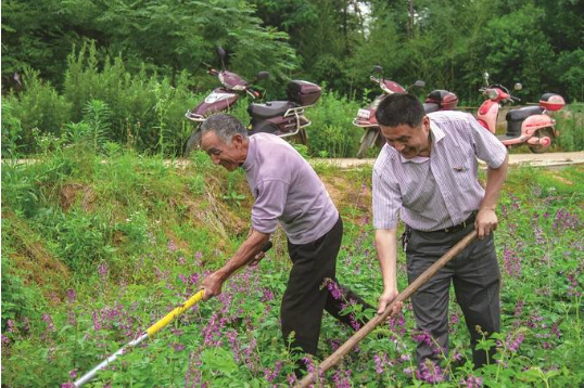 李育军（右）在帮助农户干农活.png