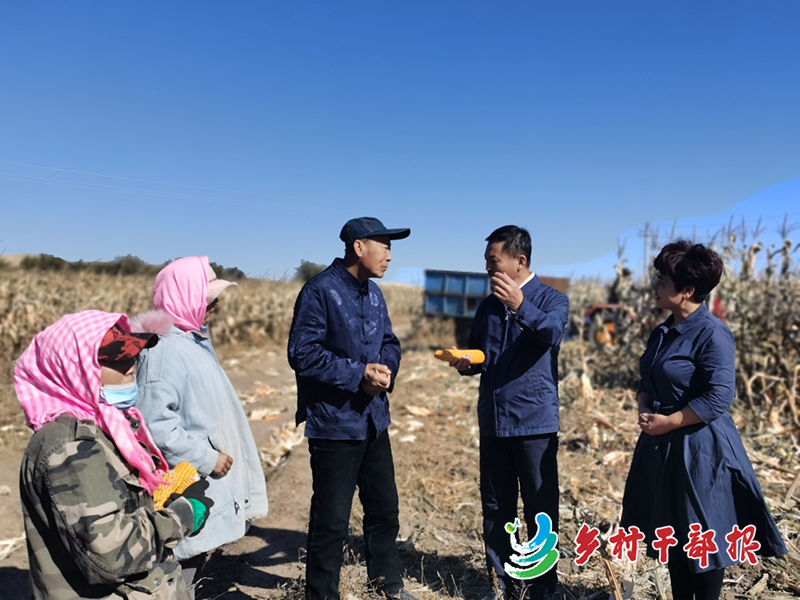 内蒙古突泉县委书记图王审(屈振年（右2）在田间地头了解产业发展情况2.jpg