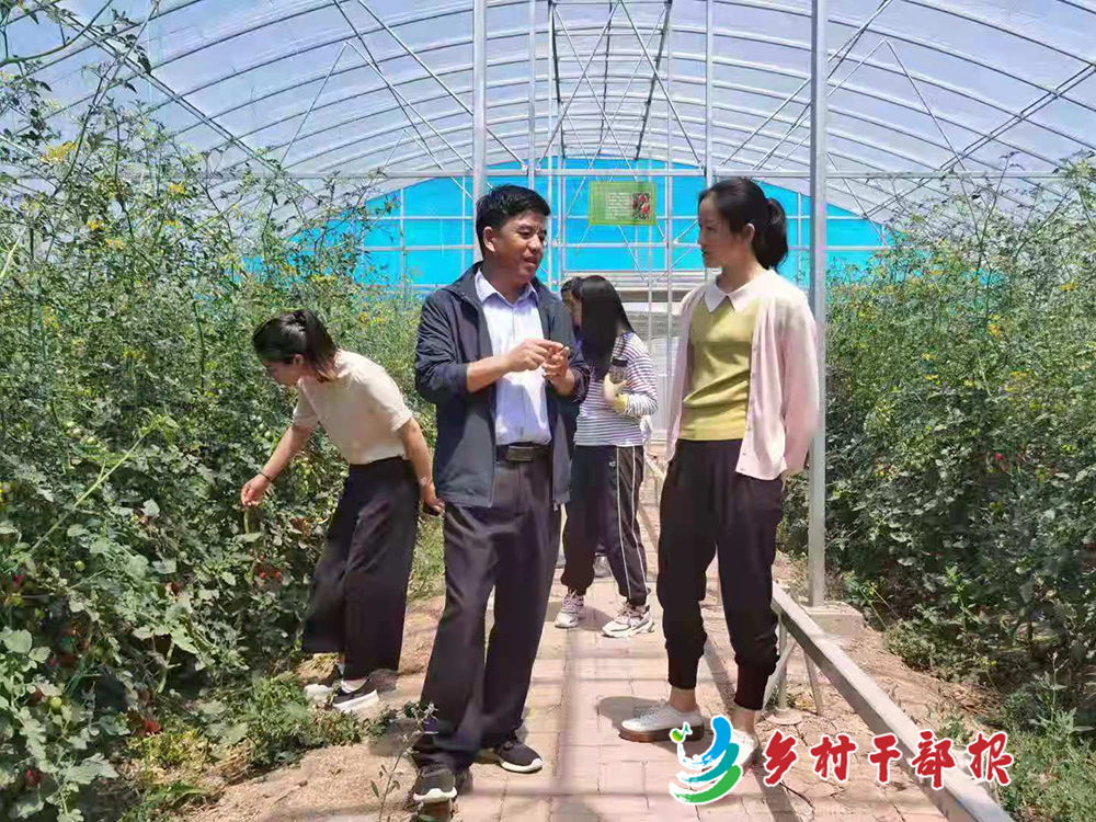 李荣林（前左）向种植户了解小番茄销售情况。2.jpg