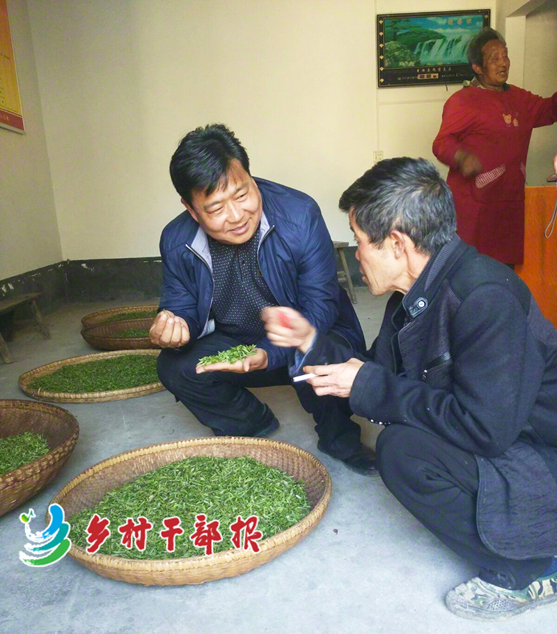 辛华（左）在种植户家中查看茶叶品质2.jpg