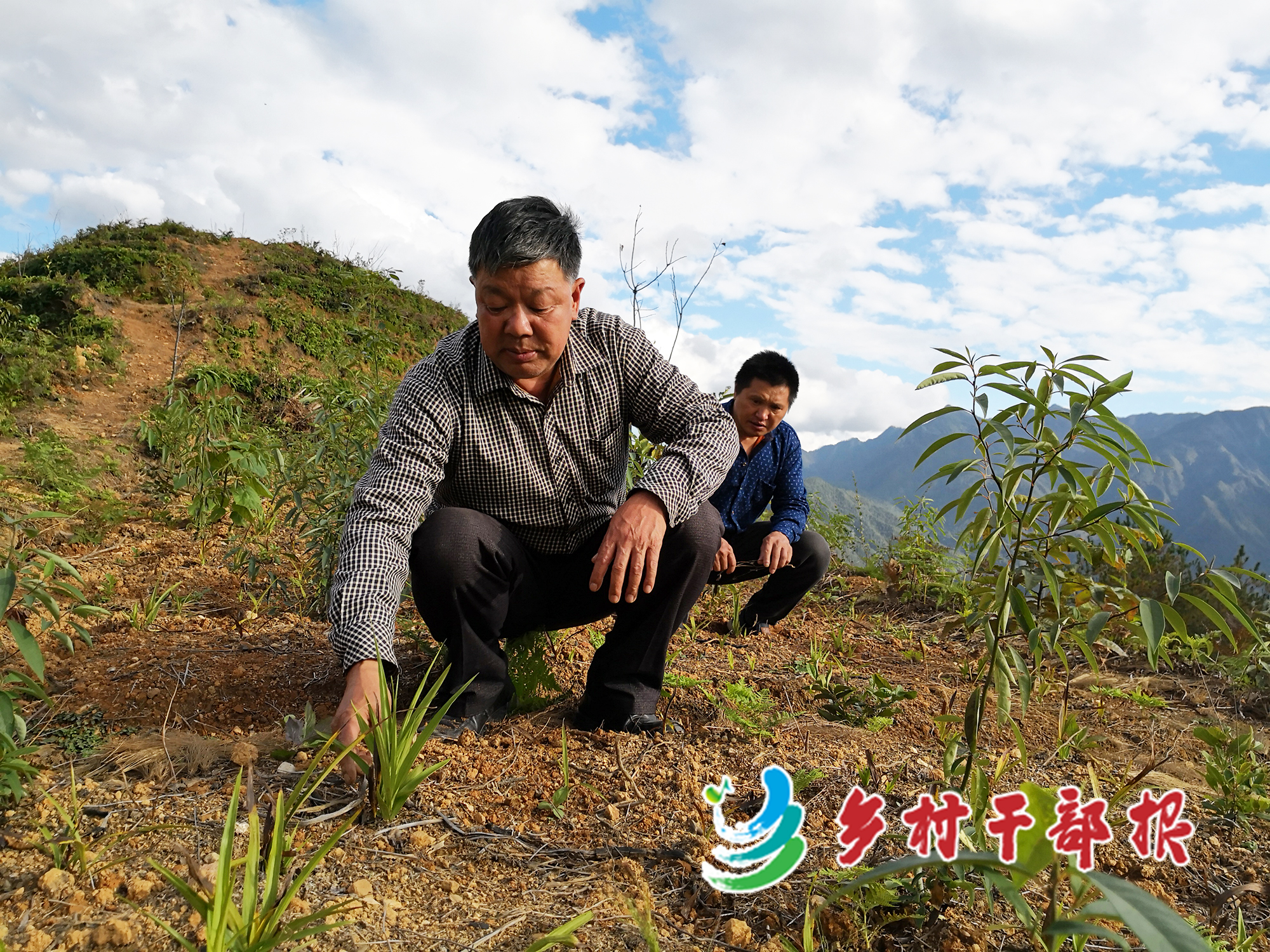 张继荣（左）查看白芨基地。吴丽珍供图2.jpg