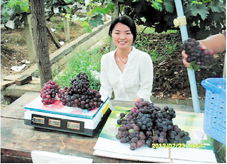 (宁乡关山村的大学生村官杨思宇在义卖爱心葡萄，帮助河南鲁山县赵村乡的大学生村官朗凯源。（资料照片）)