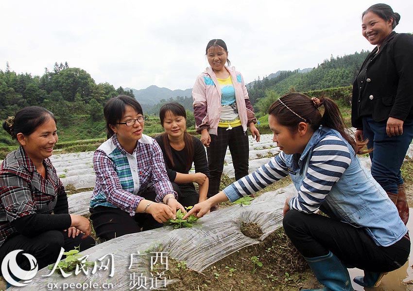 柳州市融水苗族自治县江门村大学生村官杨宁