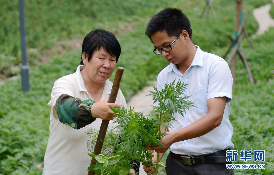 （晚报）（1）创业富民好青年张启龙：争做村民称赞的好村官