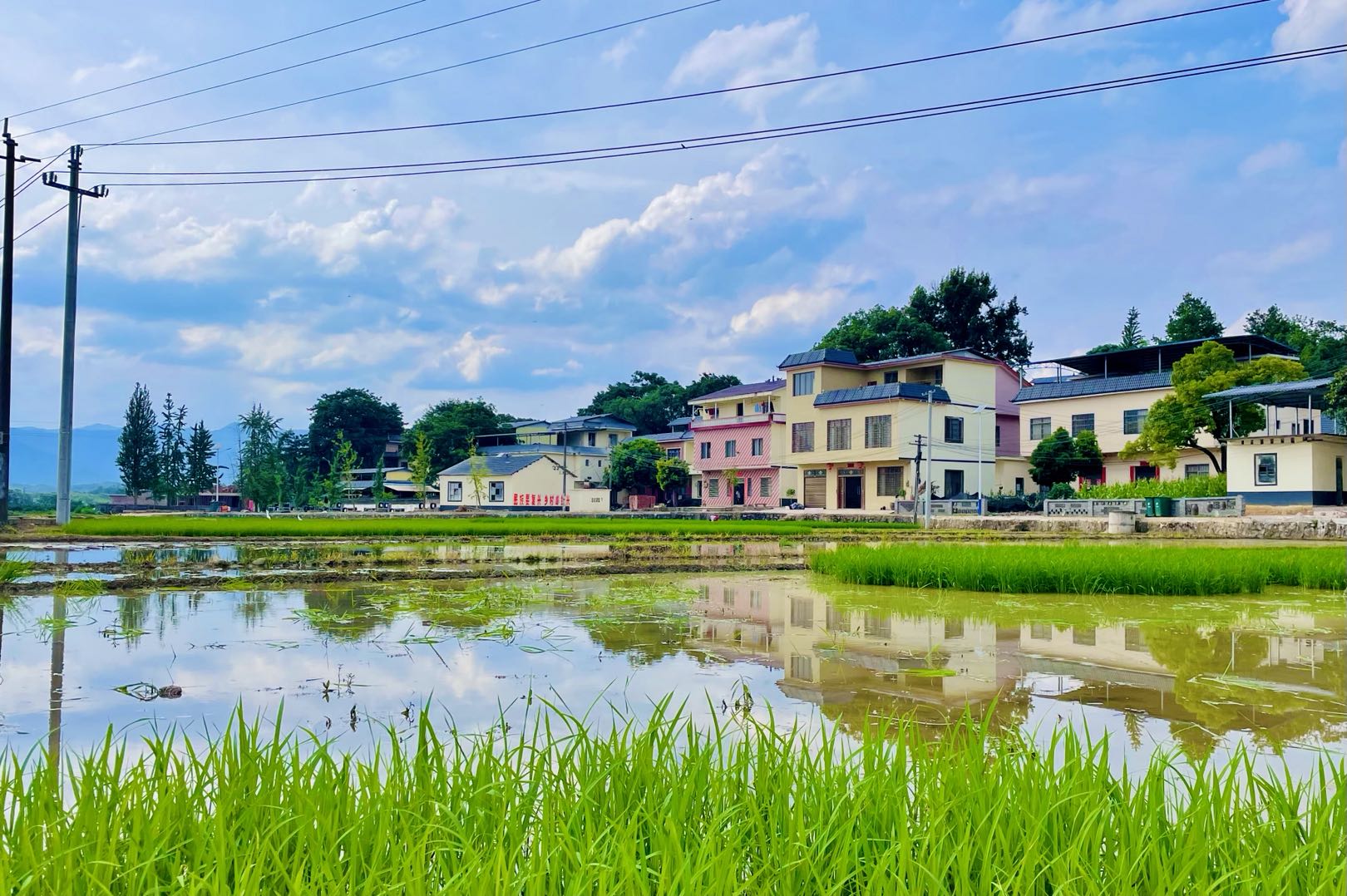 双河村貌（唐媛 摄）.jpg