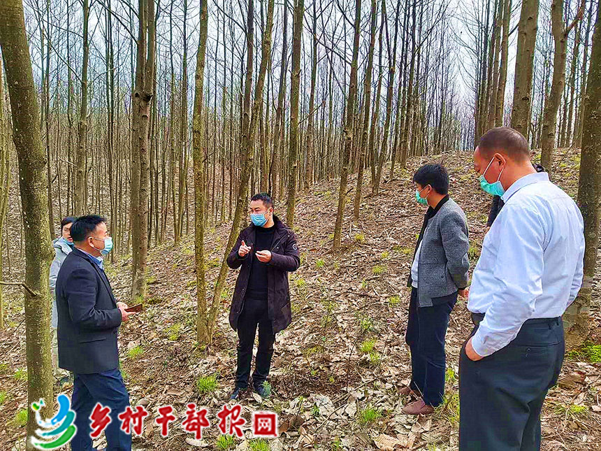 省州专家团到纪迫村龙峡盖林场作产业规划指导_副本.jpg