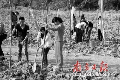 3月9日下午，来自东莞各镇街的80多名大学生村官自发组织了一场以“种下一片绿，播下一个梦”为主题的义务植树活动。当天共种下了100多棵树苗。