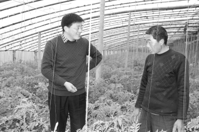 4年前，魏华伟来到上蔡县文楼村。面对质疑，他一路走来，用一个变得越来越富裕的新文楼交出了一份出色的人生答卷