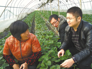 2007年从苏州大学电子信息系毕业后，我回到老家吴江区震泽镇蠡泽村做一名村官。