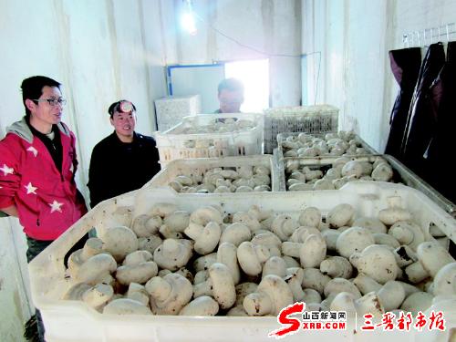 ⑤看到自己培育出的劳动成果，他们累并快乐着。