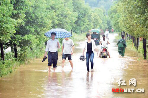 鹤城区石门乡双村发生洪灾，当时还是大学生村官的曾丽娜与村支书黄秀佳察看灾情。