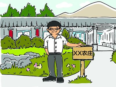 插图