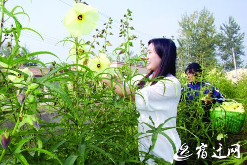 茆慧芳在村里的创业基地忙碌着