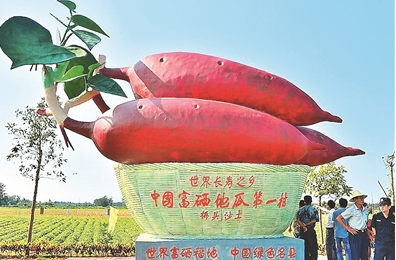 QQ图片20191115094637.png