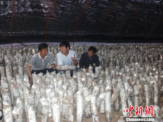 河北首批大学生村官王继成:坚守在希望的田野上