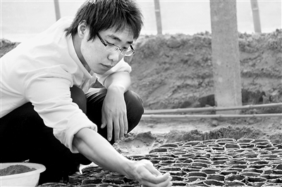 滦南大学生村官“半亩地工程” 当村官先种半亩地”