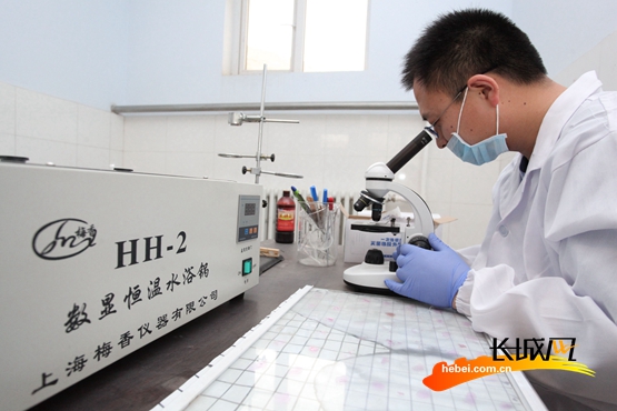 梁东彬在实验室进行种羊精子活力指标测定。陈晓东 闫宗春 摄