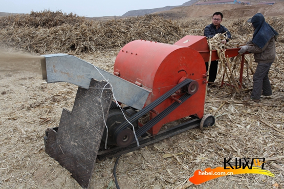 梁东彬在秸秆粉碎机前加工饲草。陈晓东 闫宗春 摄