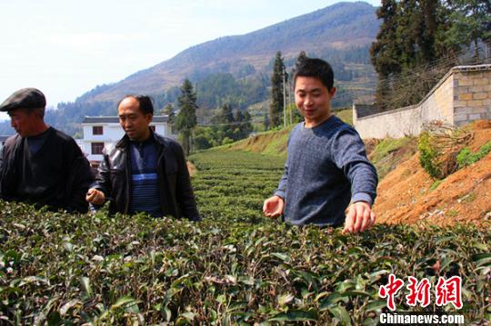 80后村官扎根山村带民致富被称作“娃娃书记”