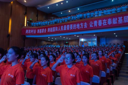 全体大学生村官庄严宣誓