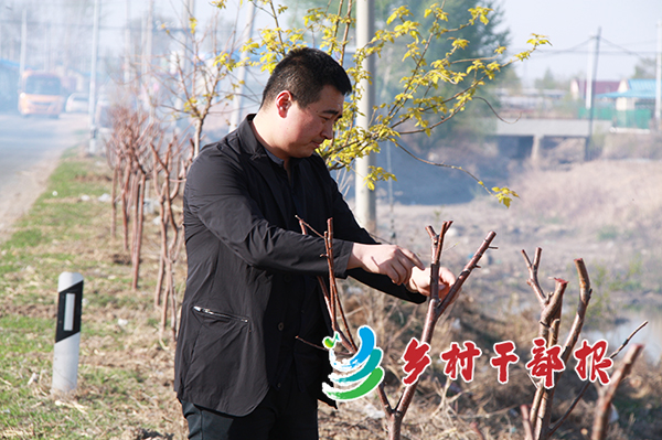 于闯查看村屯绿化情况2 .jpg