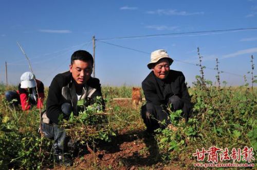 温青郁帮助村民下地除草。
