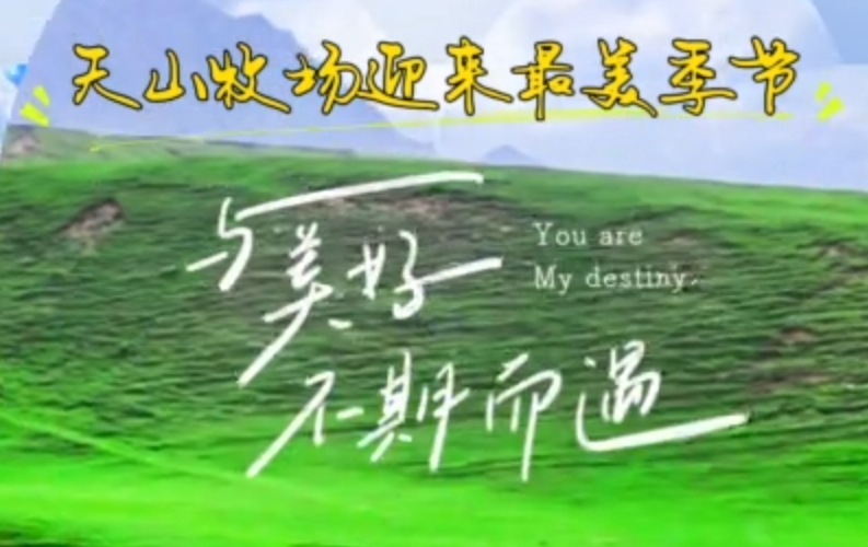 QQ20250811-102337.png