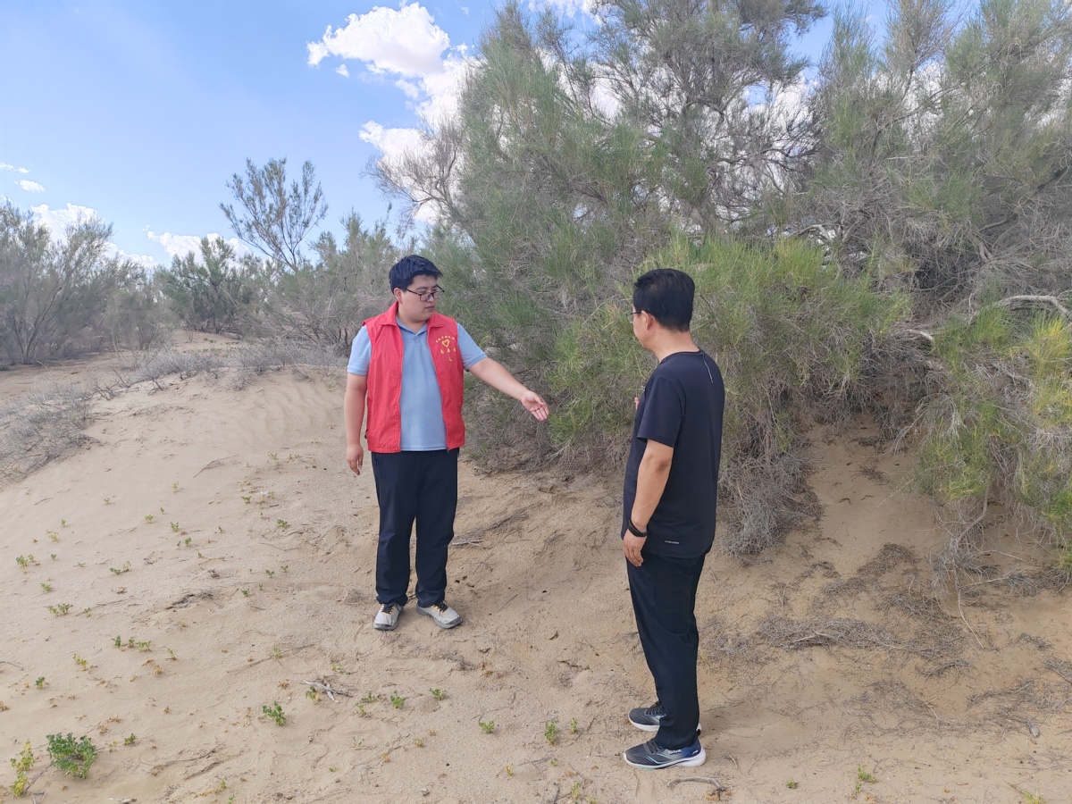张天博（左）和村民查看沙漠植被生长情况。王明义 摄.jpg