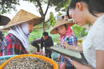 最美大学生村官,陈秀莉,为乡亲打开一扇窗