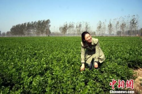 女大学生当村官6年练就大嗓门 干农活乐此不疲